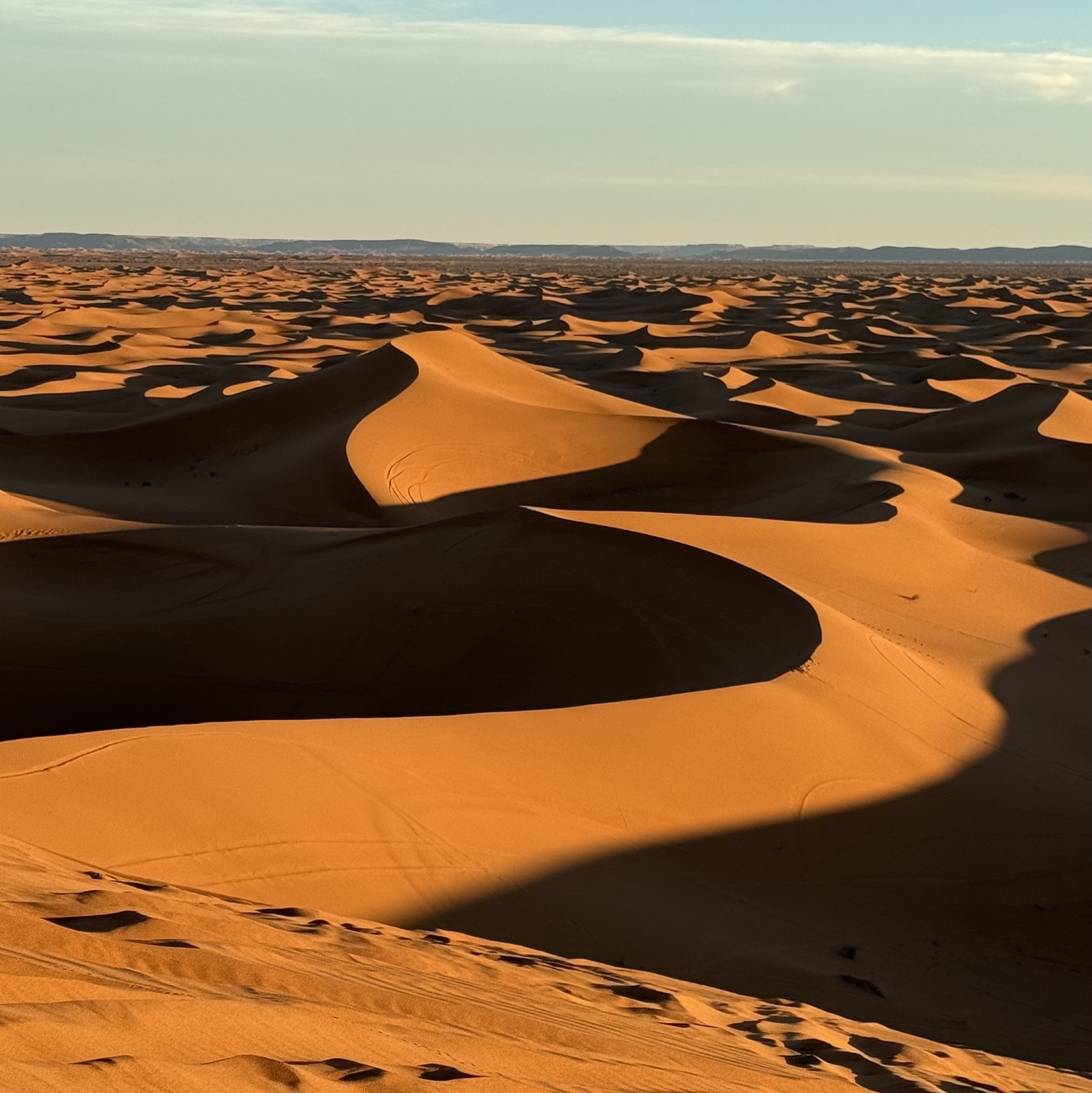 Sahara Desert